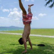 treehugger