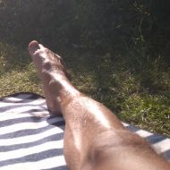SummerSonnenFan