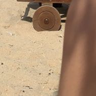 FLORY_N2403