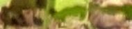 Nudesnake