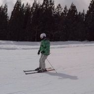Silverhairedskier