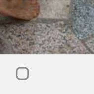 Orhidelija