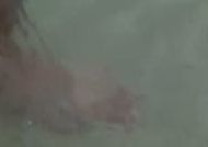 Amit