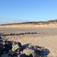 Beachwalker