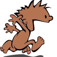 Bipolynudistvet
