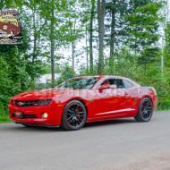carguy