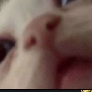 Alexqq1