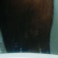 Shailu88