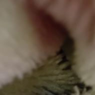 hygyghh