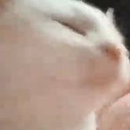 VexologyHD