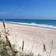 ChrisNaturelover2025