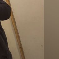 C3334444