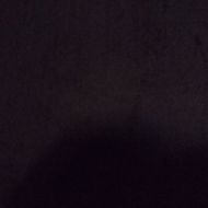 Breedlove24