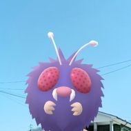Joaomiguel2