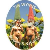 The_WYNNS