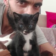 mahran